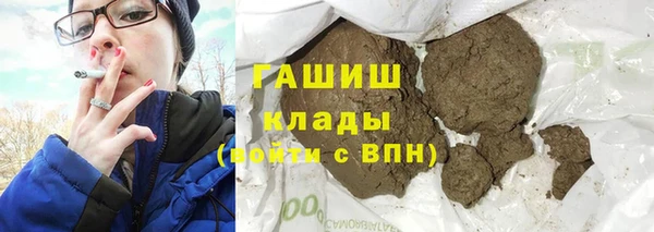 хмурый Белокуриха