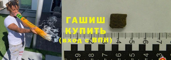 хмурый Белокуриха