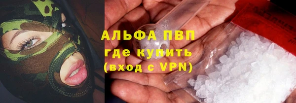 хмурый Белокуриха