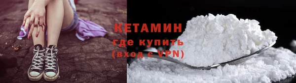 хмурый Белокуриха