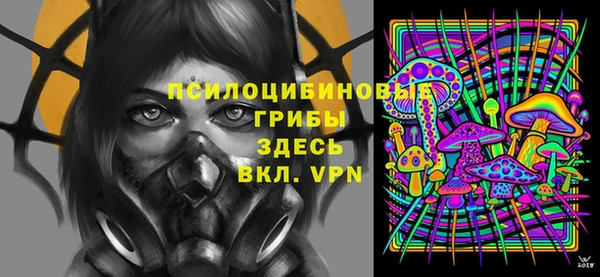 хмурый Белокуриха