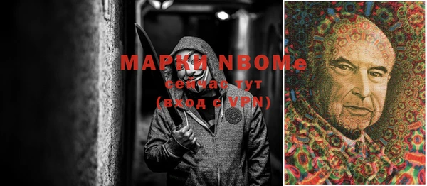 хмурый Белокуриха